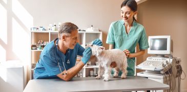 Tandhygiëne bij huisdieren is een fundamentele praktijk.