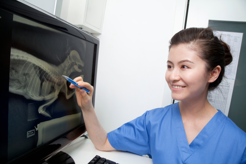 Is digitale of analoge veterinaire radiologie voor u het beste?
