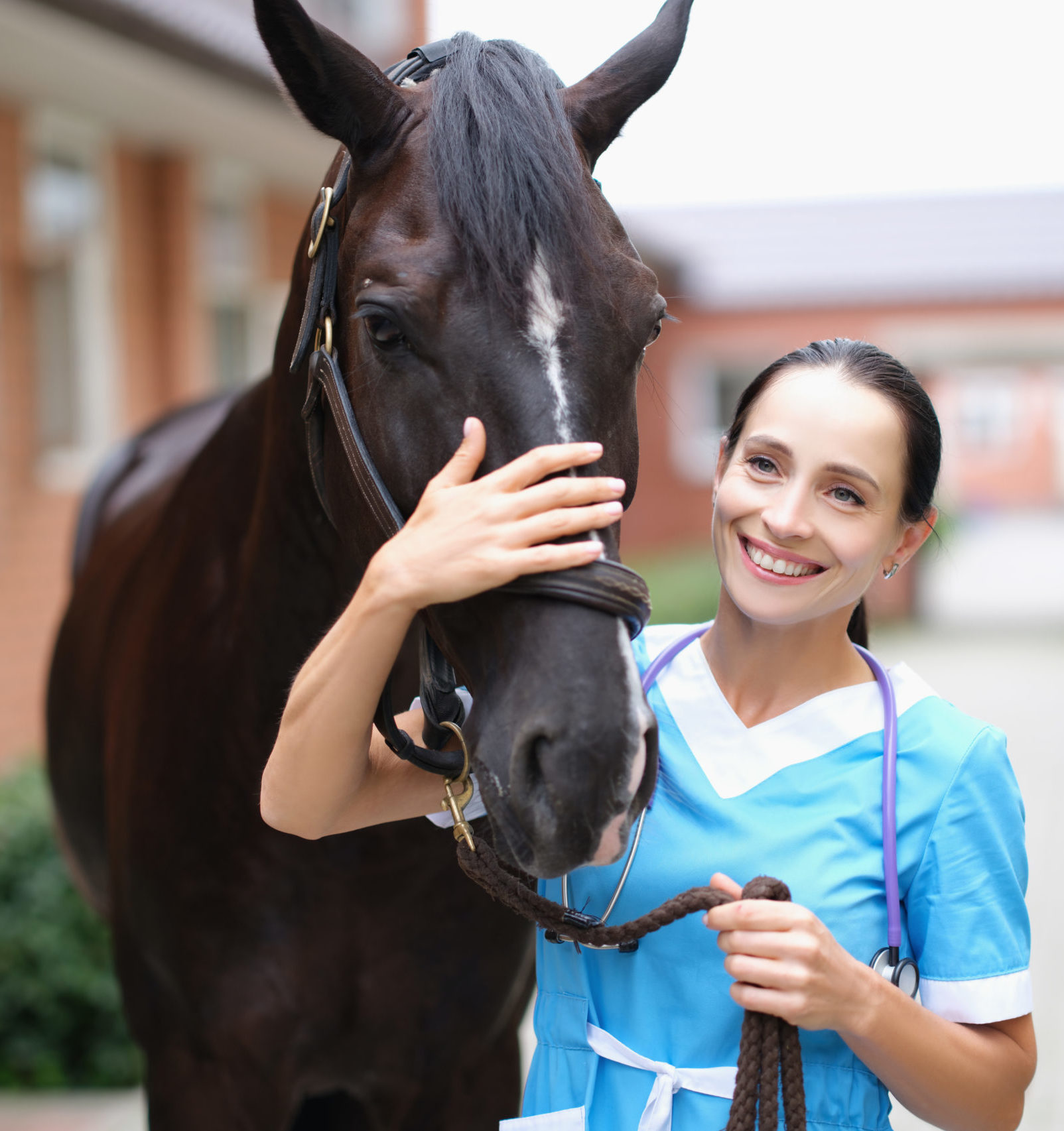 Beautiful woman, veterinarian stroking a horse