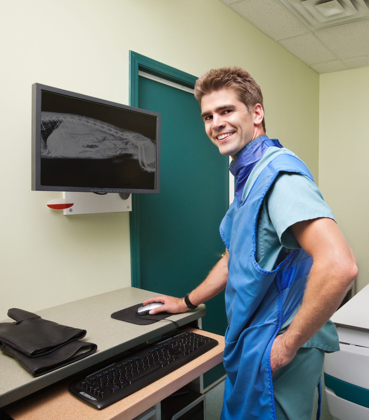 Radiologist examining  X-ray of dog's spine